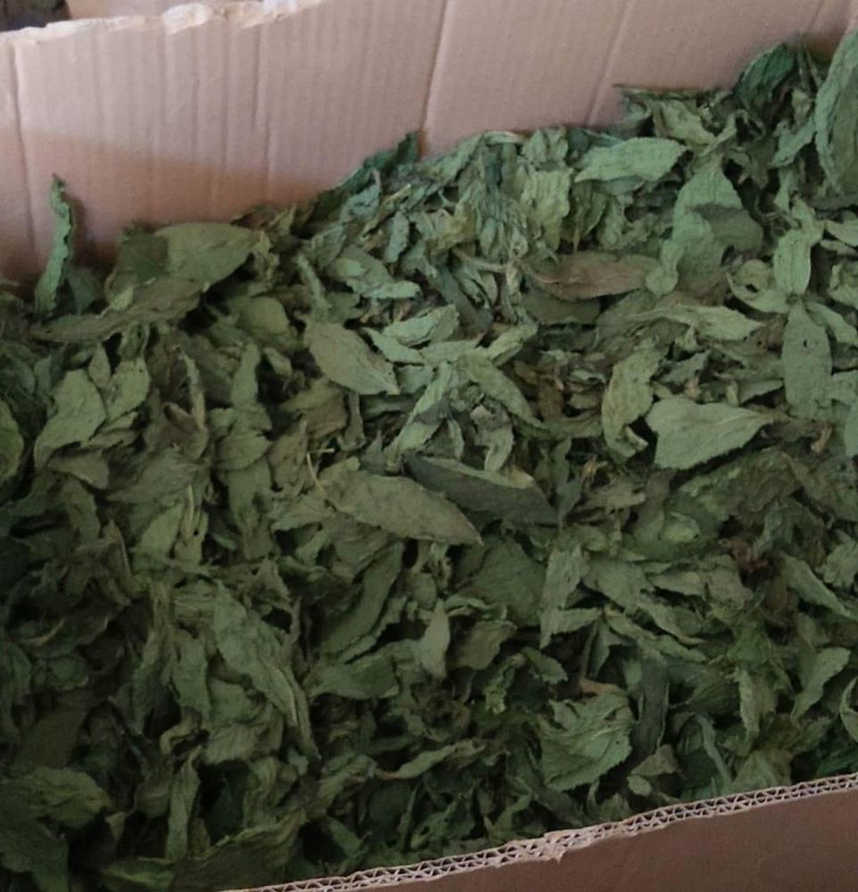 Aton Green Egypt Fresh Fruits & Vegetables
