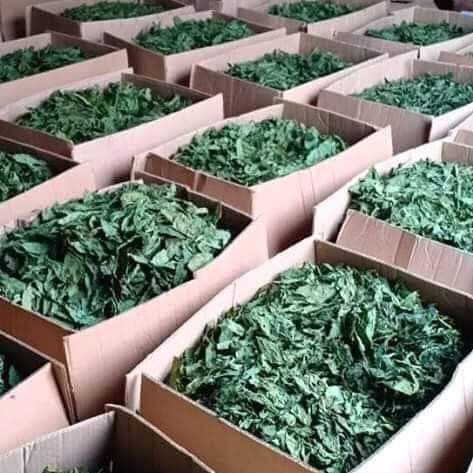 Aton Green Egypt Fresh Fruits & Vegetables